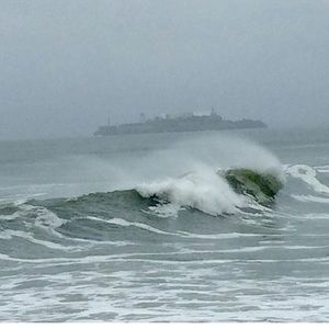 Meet your Posher, Gen